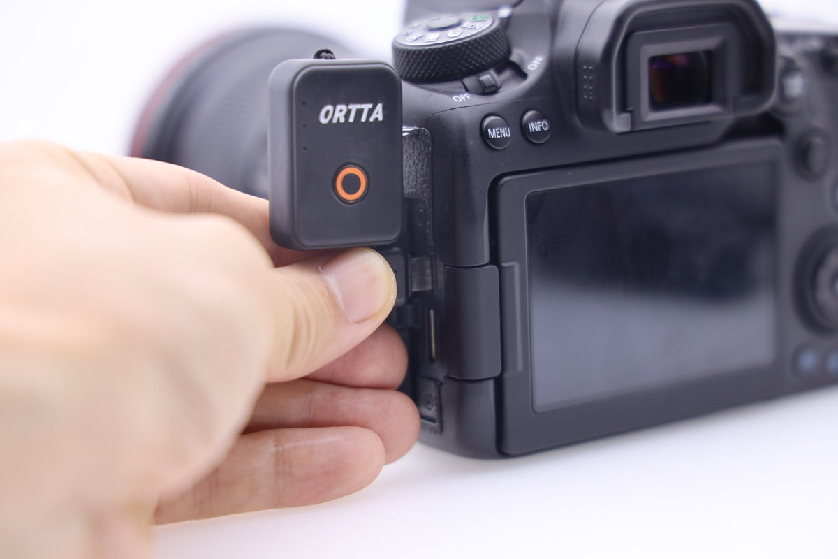Step 4: Push the plug into the port